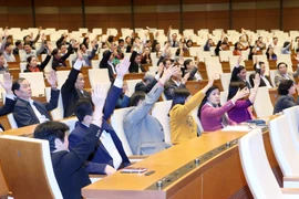 Các cử tri biểu quyết thông qua danh sách những người ứng cử đại biểu Quốc hội thuộc Văn phòng Quốc hội. (Ảnh: Nhan Sáng/TTXVN)