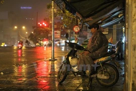 Ảnh minh họa. (Ảnh: Minh Sơn/Vietnam+)