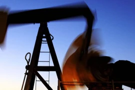 Ảnh minh họa. (Nguồn: AP)