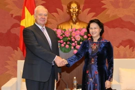 Chủ tịch Quốc hội Nguyễn Thị Kim Ngân tiếp ông Konstatin Vnukov, Đại sứ đặc mệnh toàn quyền Liên bang Nga tại Việt Nam đến chào xã giao. (Ảnh: Trọng Đức/TTXVN)