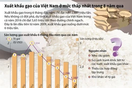 Xuất khẩu gạo của Việt Nam ở mức thấp nhất trong 8 năm qua