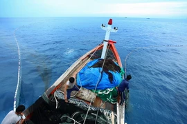 Ngư dân huyện Lý Sơn đánh bắt hải sản trên vùng biển tỉnh Quảng Ngãi. Ảnh minh họa. (Ảnh: Lâm Khánh/TTXVN)