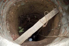 Ảnh minh họa. (Nguồn: TTXVN)