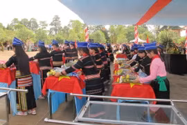 Lễ truy điệu và an táng hài cốt các liệt sỹ tại Nghĩa trang liệt sỹ huyện Đức Cơ (Gia Lai). (Ảnh: Văn Thông/TTXVN)
