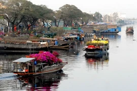 Chợ hoa Tết bến Bình Đông ở Thành phố Hồ Chí Minh, Tết Ất Mùi 2015. (Ảnh: Mạnh Linh/TTXVN)