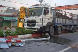 Ảnh minh họa. (Nguồn: TTXVN)