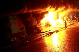 Ảnh minh họa. (Nguồn: TTXVN)