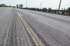 Ảnh minh họa. (Nguồn: TTXVN)