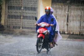 Ảnh minh họa. (Ảnh: Minh Sơn/Vietnam+)