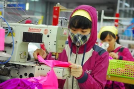 Ảnh minh họa. (Ảnh: Danh Lam/TTXVN)