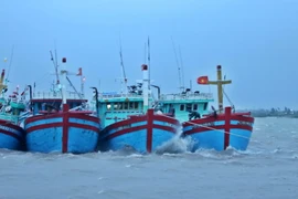 Tàu thuyền về nơi trú ẩn an toàn tại Cảng cá Ninh Cơ (huyện Hải Hậu, Nam Định). (Ảnh: Minh Quyết/TTXVN)
