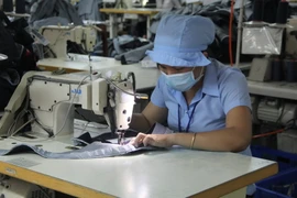 Ảnh minh họa. (Nguồn: TTXVN)