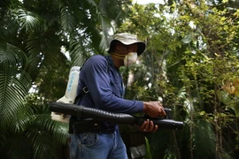 Phun thuốc diệt muỗi nhằm ngăn chặn sự lây lan của virus Zika tại Miami, Florida, Mỹ ngày 1/8. (Nguồn: AFP/TTXVN)