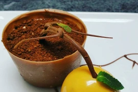 Món ăn này nhìn chính xác là một cây cam mini mọc trong một chậu hoa nhỏ với duy nhất một quả cam trĩu xuống đất. (Nguồn: Dailymail)