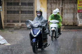 Ảnh minh họa. (Ảnh: Minh Sơn/Vietnam+)