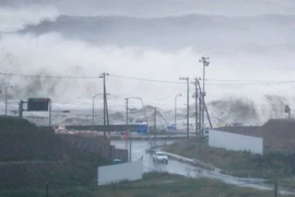 Bão Lionrock đổ vào thành phố Ishinomaki. (Nguồn: Kyodo) 