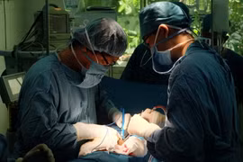 Ảnh minh họa. (Nguồn: TTXVN)