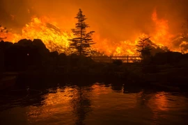 Cháy rừng kinh hoàng ở Santa Clarita, California, Mỹ ngày 23/7. (Nguồn: AFP/TTXVN)