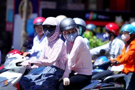 Ảnh minh họa. (Ảnh: Quý Trung/TTXVN)