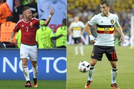 Các cầu thủ Hungary (trái) liệu có thể tiếp tục gây thêm cú sốc nữa ở EURO 2016 trong trận đấu rạng sáng mai với "Quỷ đỏ" Bỉ? (Nguồn: Telegraph)