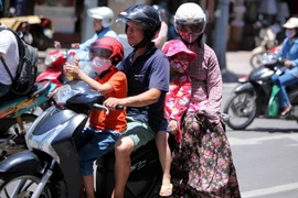 Ảnh minh họa. (Ảnh: Quý Trung/TTXVN)