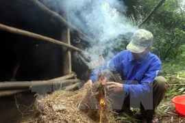 Đốt lửa sưởi ấm cho gia súc khi nhiệt độ xuống thấp. (Ảnh minh họa: Quang Cường/TTXVN)