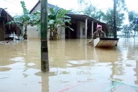 Ảnh minh họa. (Nguồn: TTXVN)