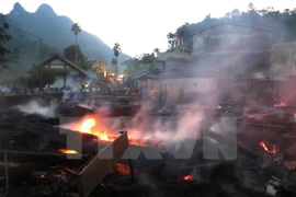 Ảnh minh họa. (Ảnh: Hoàng Cừ/TTXVN)