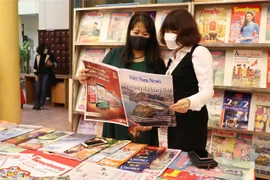 (Ảnh minh họa: Hoàng Nguyên/TTXVN)