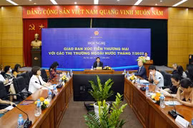 Quang cảnh hội nghị tại điểm cầu Hà Nội. (Ảnh: Trần Việt/TTXVN)