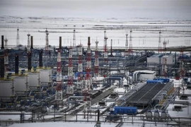 Toàn cảnh giếng khí đốt Bovanenkovo ở bán đảo Yamal thuộc Bắc Cực. (Ảnh: AFP/TTXVN)