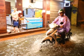(Ảnh minh họa: Hoàng Hiếu/TTXVN)