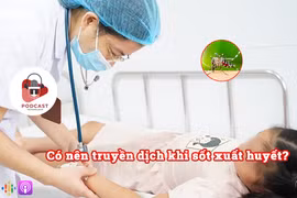 (Nguồn: Vietnam+)