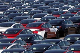 Xe ôtô điện của Tesla tại cảng ở Southampton, Anh. (Ảnh: AFP/TTXVN)