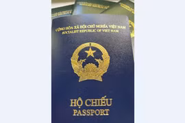 Cuốn hộ chiếu kiểu mới (màu xanh tím than) so với các cuốn hộ chiếu cũ màu xanh. (Ảnh: Mạnh Hùng/TTXVN)