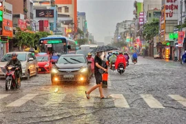 (Ảnh: Hồng Giang/ TTXVN)