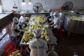 Sơ chế măng tươi tại công ty Cổ phần Kim Bôi. (Ảnh: Trọng Đạt/TTXVN)
