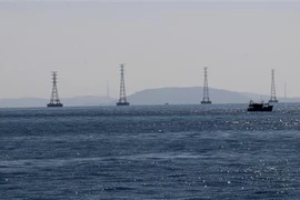 (Ảnh minh họa: Lê Huy Hải/TTXVN)