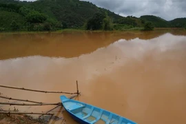 (Ảnh minh họa: TTXVN phát)