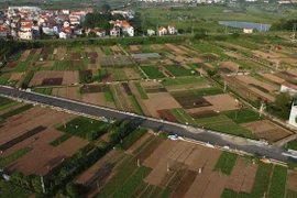 Cánh đồng chuyên canh trồng rau, củ, quả đảm bảo an toàn ở xã Tiền Yên, huyện Hoài Đức (Hà Nội) nhìn từ trên cao. (Ảnh: Vũ Sinh/TTXVN)