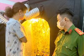 Shedko Dmitrii mở túi vải trồng cần sa. (Nguồn: laodong.vn)