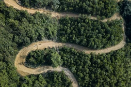 Đường đua xe đạp địa hình quanh co và có độ dốc khá lớn. (Ảnh: Trọng Đạt/TTXVN)