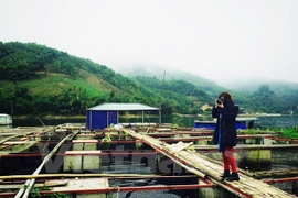 Học sinh cả nước thi tìm hiểu "Du lịch có trách nhiệm với môi trường"