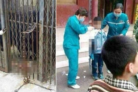 Cậu bé 9 tuổi bị gấu tấn công và cắn đứt tay trong vườn thú