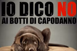 Italy phát động chiến dịch đề nghị cấm đốt pháo để cứu chó, mèo