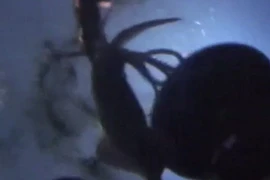 Con mực khổng lồ "điên cuồng" lao vào tấn công chiếc tàu ngầm