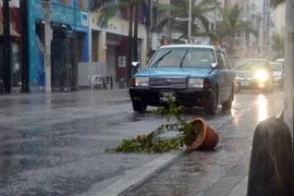 Nhật Bản: Bão Vongfong đổ bộ vào vùng cực nam đảo Kyushu