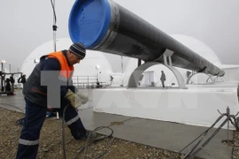 [Video] EU khẳng định triển khai dự án “Dòng chảy phương Nam”