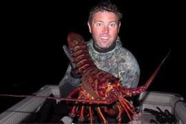 Ngư dân bất ngờ bắt được một con tôm hùm khổng lồ hơn 5kg