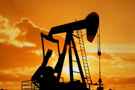 "Trung Quốc vẫn tiếp tục xuất khẩu dầu thô sang Triều Tiên" 